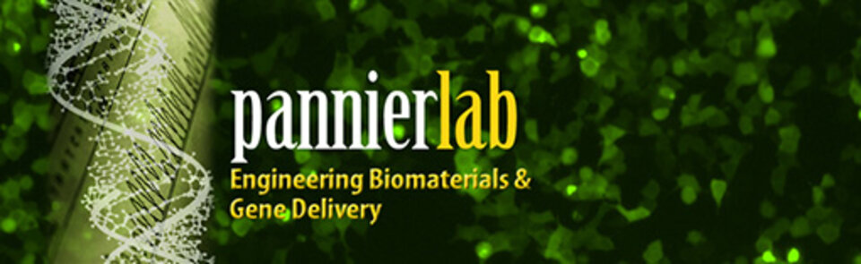 Pannier Lab logo